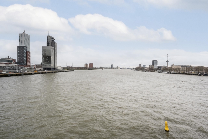 <span>Rotterdam</span>Wilhelminakade 449
