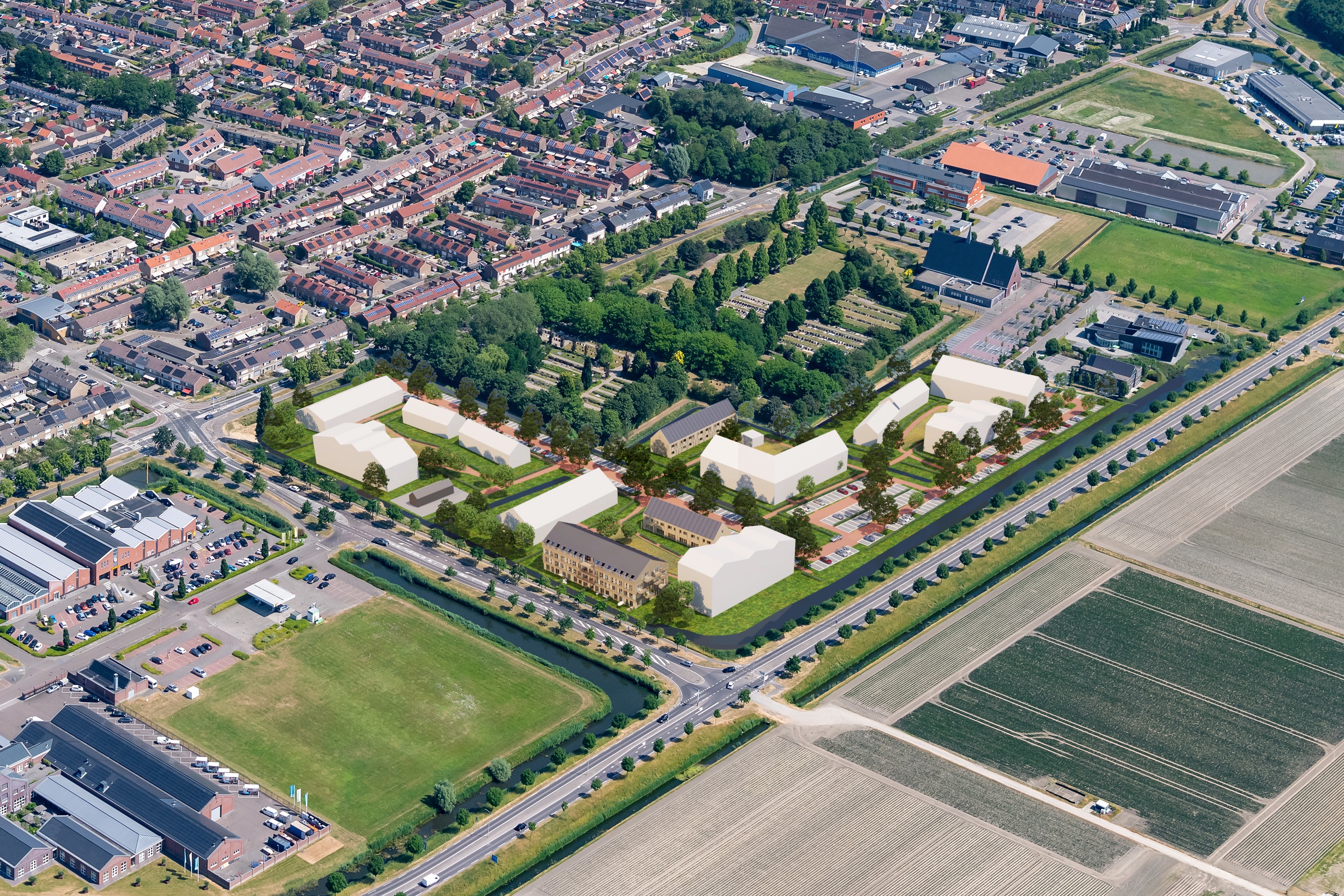 De Boomstam